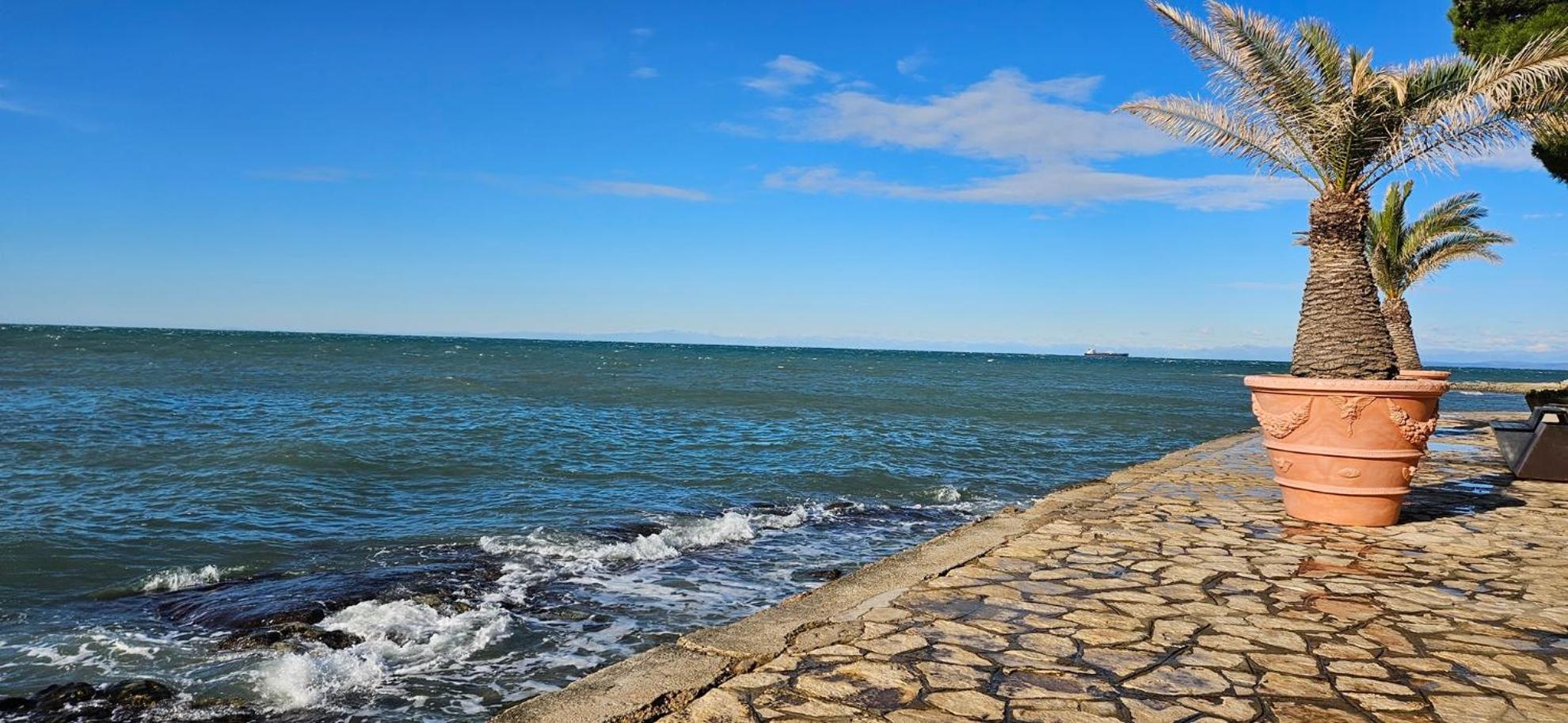 Sea View Apartment Renzzo Strunjan Exterior photo